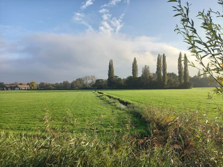Schootsveld, Naarden