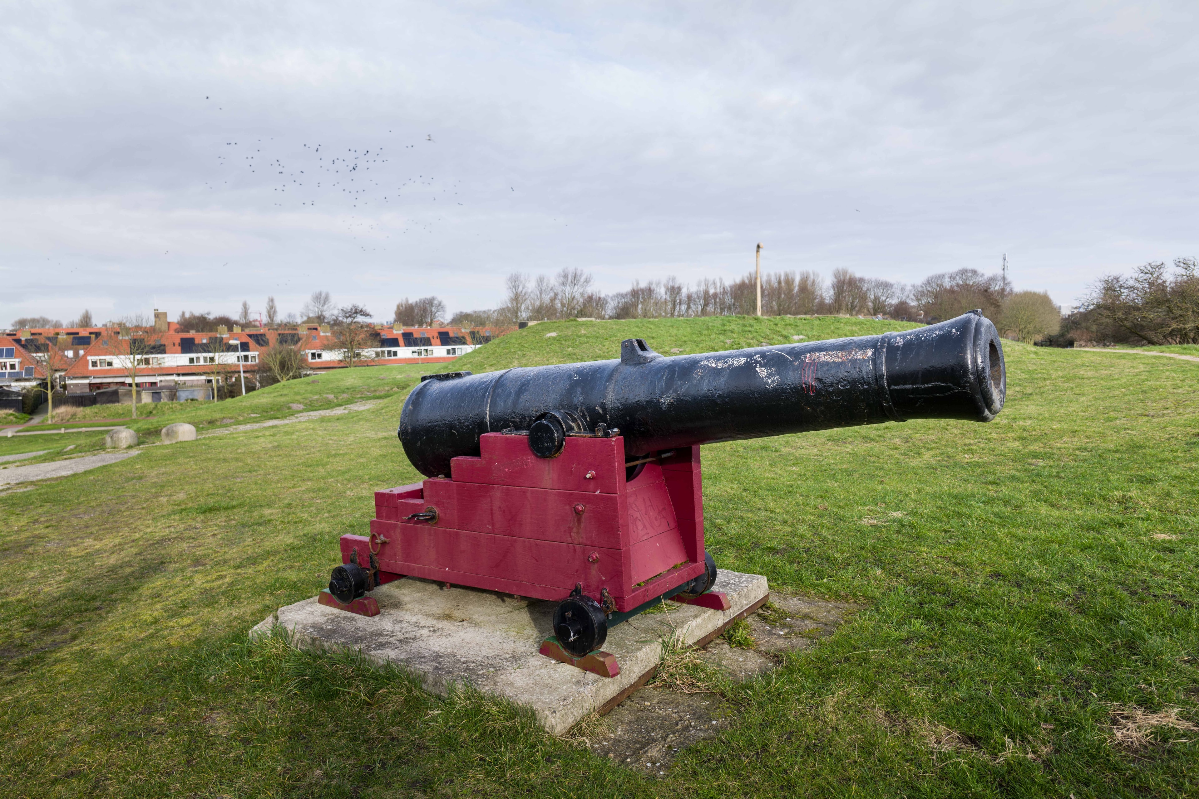 CTA background image