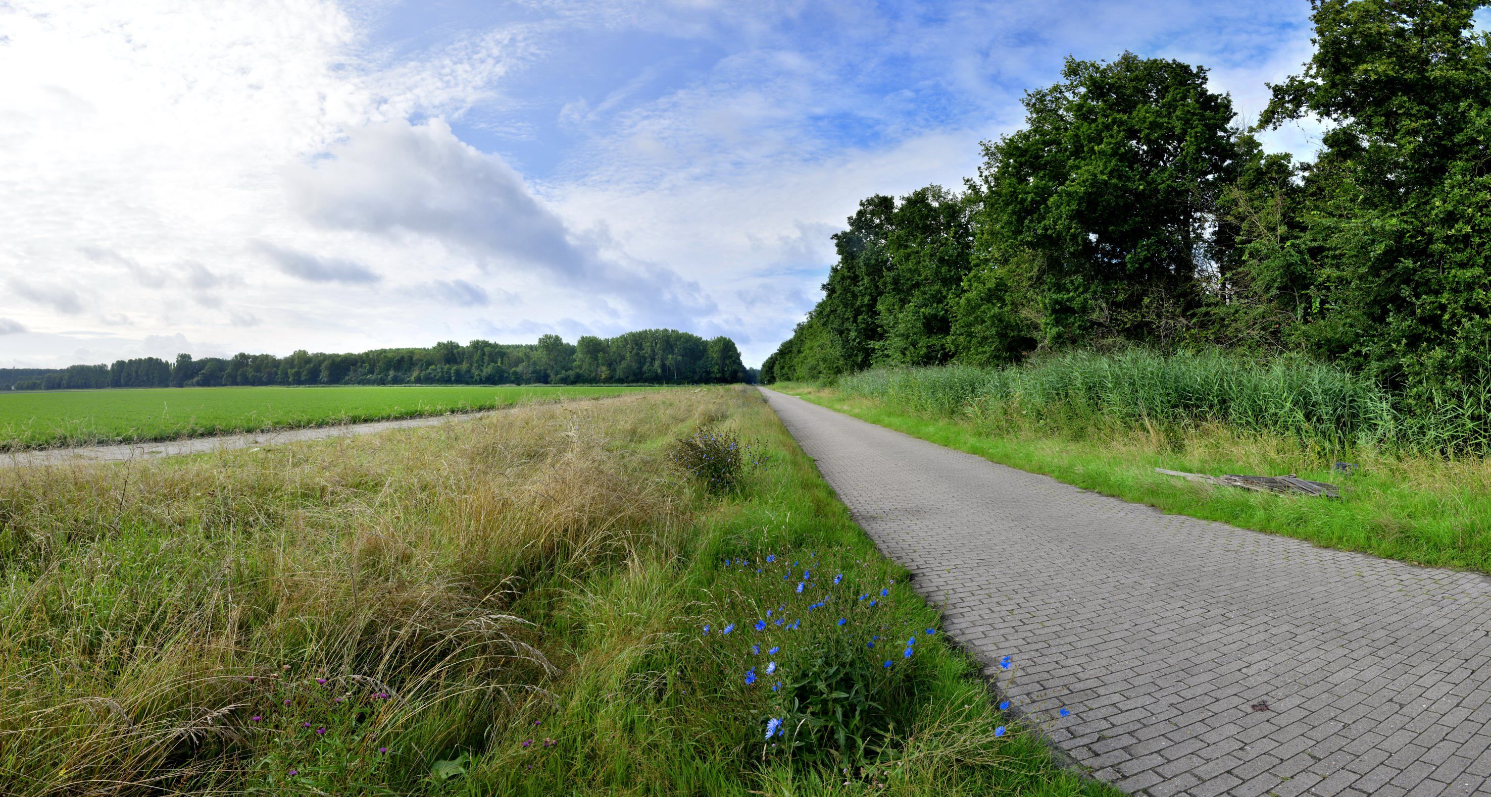 Heemschut in actie voor de Beginweg in Lelystad