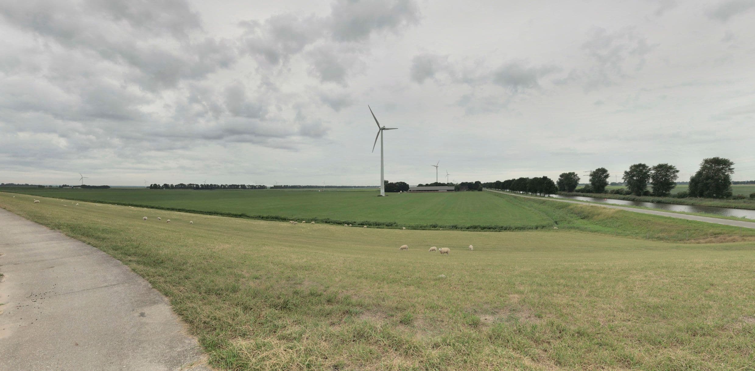 Section image