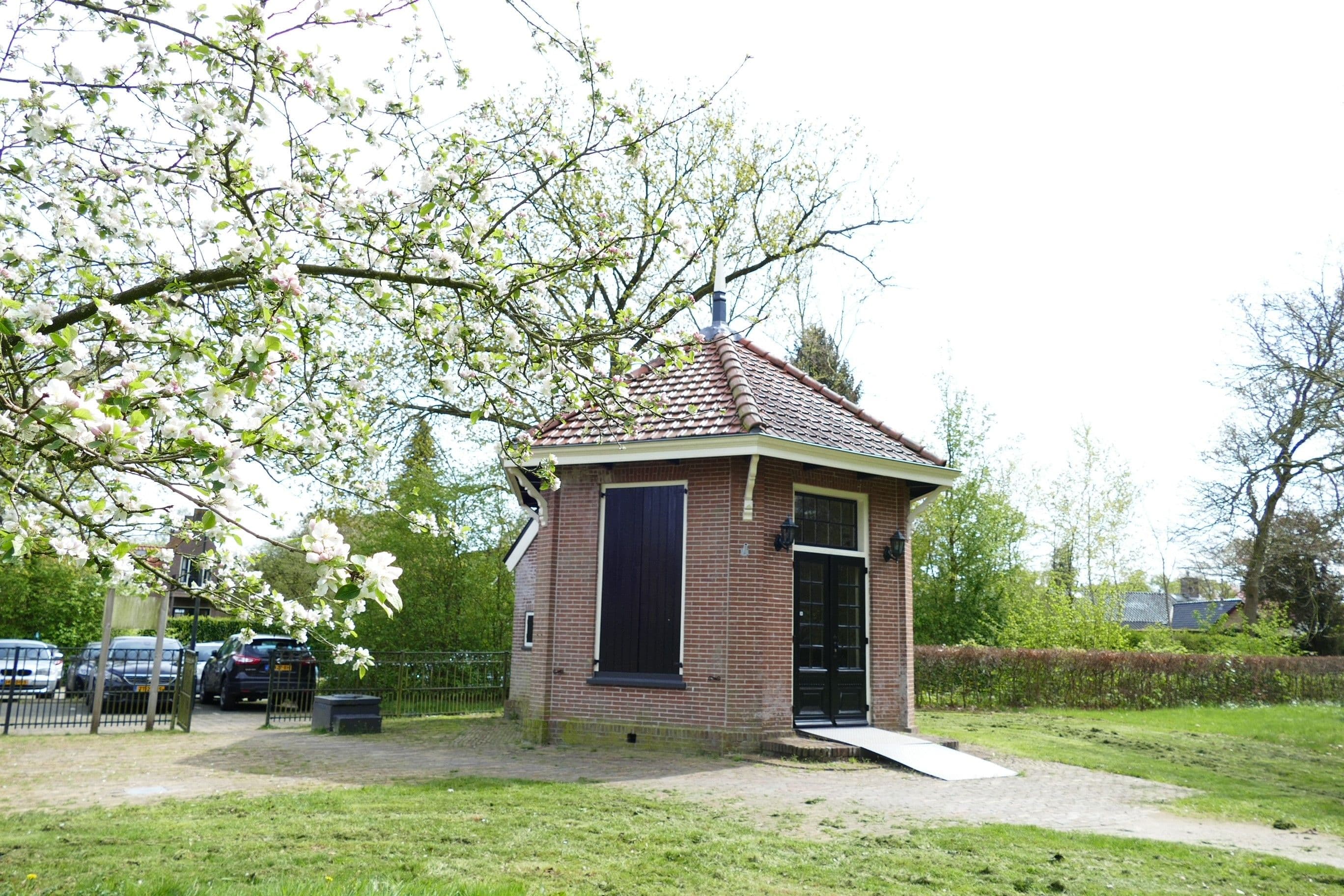 Section image